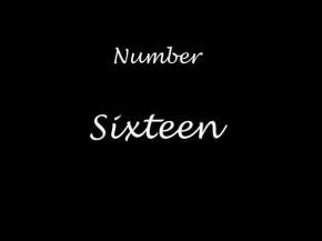 Number Sixteen